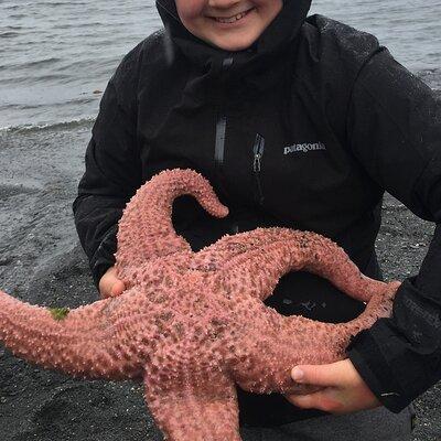 Low Tide Excursion & Beach Bonfire (w/ Totem Park Stop)