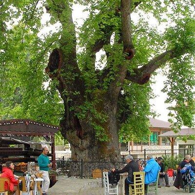 Marmaris Village Tour with Waterfalls & Visit Jesus Beach