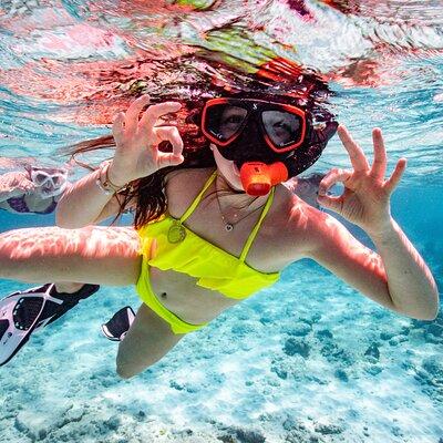 Private Snorkeling Tour Bonaire