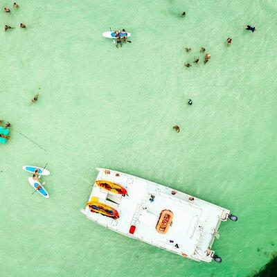 Epic Sandbar Safari With Dolphin Playground Encounter In Key West