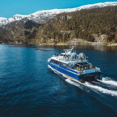 Mostraumen Fjord Cruise