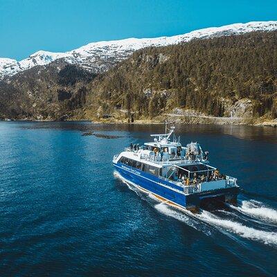 Mostraumen Fjord Cruise