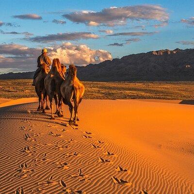 Semi-Gobi and Kharkhorum overnight private trip