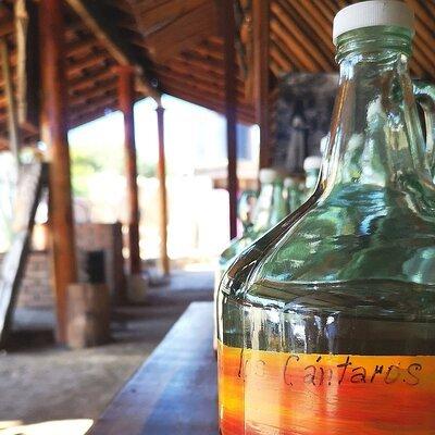 Tour Los Caminos del Mezcal Café and Pedal Loom Factory