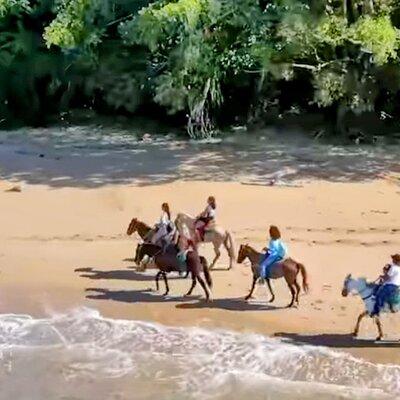 AMBER COVE-TAINO BAY Horses Beach Ride & City Sightseeing 