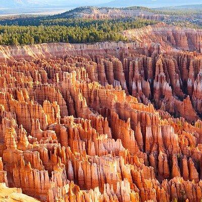 4-Day Tour in Zion, Bryce & Antelope Canyon, Las Vegas