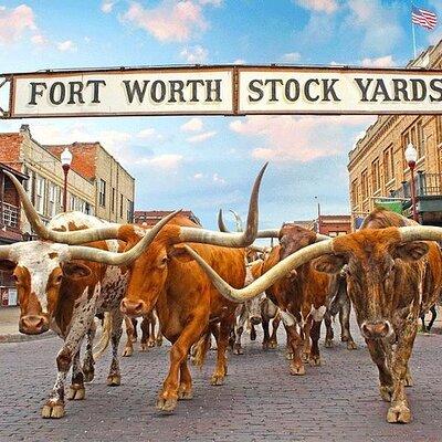 Fort Worth Highlights & Southfork Ranch Combo Tour