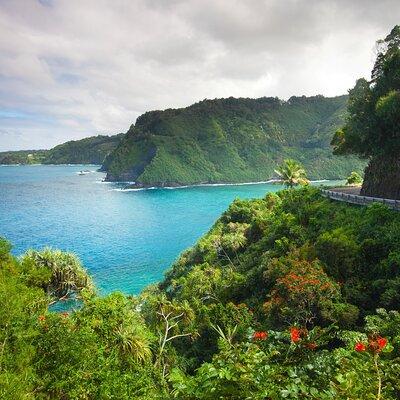 Halfway to Hana + Waterfall & Garden of Eden Tour