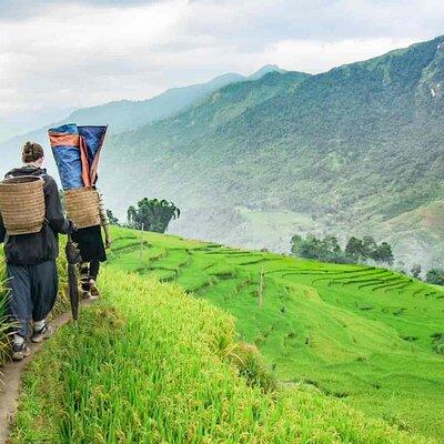 2-Days Sapa Trekking and Overnight in Tavan Village