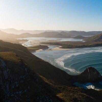 Otago Peninsula In-Depth Tour & Blue Penguins Pukekura Experience