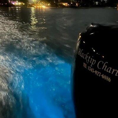 Private Bioluminescence Tour in Grand Cayman