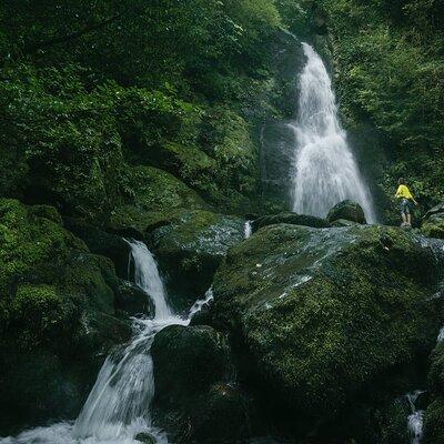 Group Hiking Tour in Mtirala National Park 