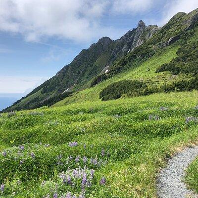 Private Hiking Tour in Sitka, Alaska