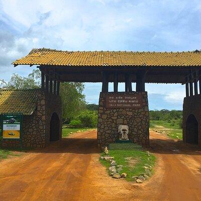 Day Excursion to Yala National Park From Colombo