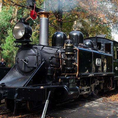 Puffing Billy And Phillip Island Penguin Parade Bus Tour