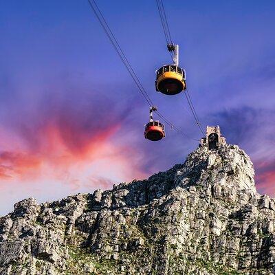 Table Mountain, Boulders Penguins & Cape point, Private Day Tour