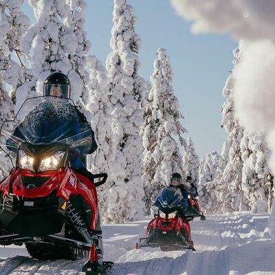 Snowmobile Safari into the Arctic Circle Forest