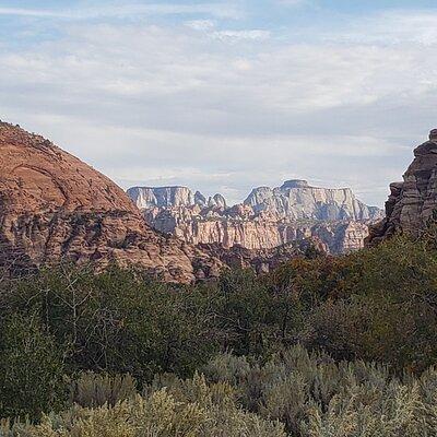 Zion National Park/Kolob Terrace Private 1/2 Day Sightseeing Tour