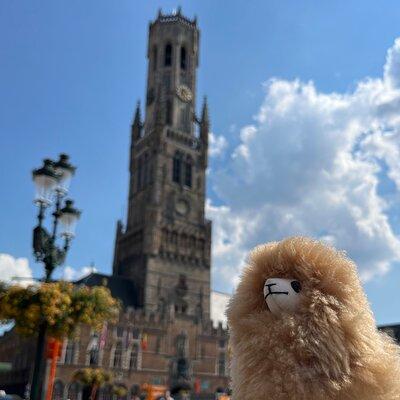 Private Full-Day Trip to Bruges&Ghent from Brussels with tastings