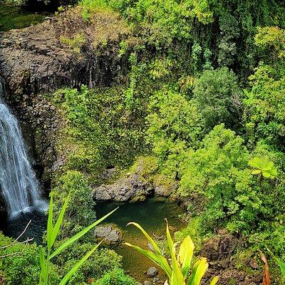 Hana Private Full Day Tour