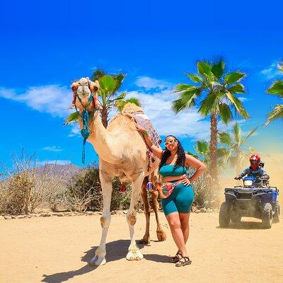 ATV Tour, Camel Ride, Tequila Tasting and Mexican Buffet Lunch