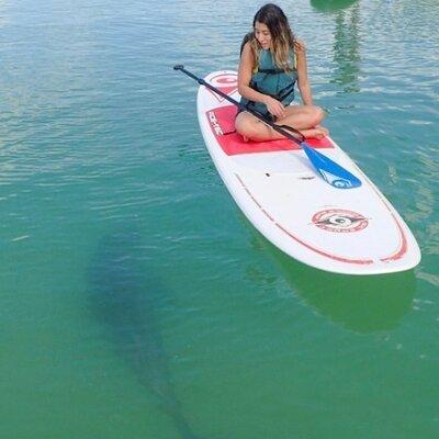 Guided Dolphin Eco Tour by Kayak & SUP - Fort Myers Beach, FL