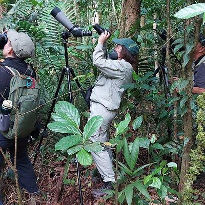 Monteverde Birdwatching Experience