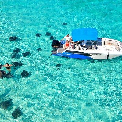 Private, Guided Boat Charters in The Cayman Islands