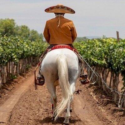 Wine Tour and Horseback Ride through the Mountains of Guanajuato