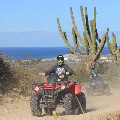  Margaritas Beach and Desert ATV Tour