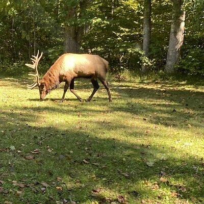 Over the Top Tour in Oconaluftee