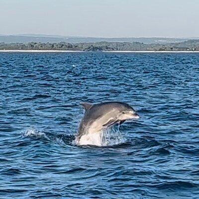 National Park Brijuni Tour from Pula with Dolphins, Sunset&Dinner