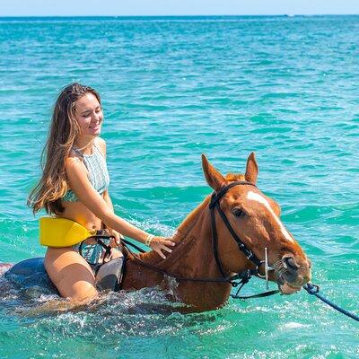 ATV, Horse Ride, Zipline, Catamaran at Ocean Outpost Park