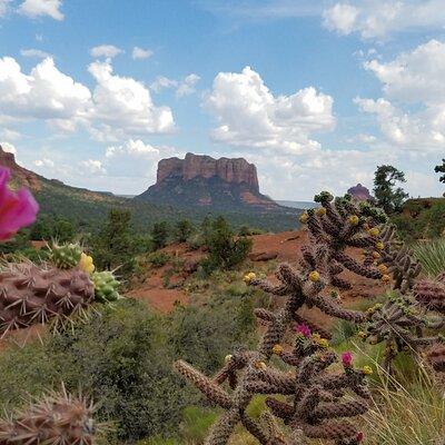 Private Sedona Day Trip from Phoenix or Scottsdale