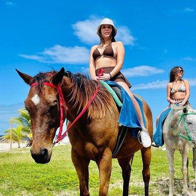 Horseback Ride and Swim from Montego Bay