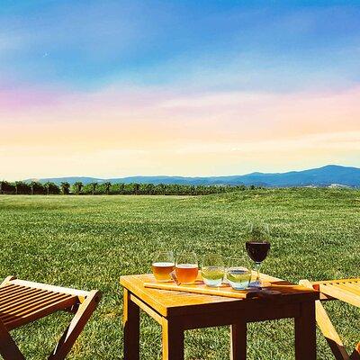 Epic Yarra Valley Wine, Beer/Gin* & Choc Tour + 2-Course Lunch