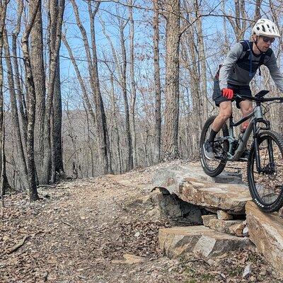 3-Hour Guided Mountain Biking in the Blue Ridge Mountains