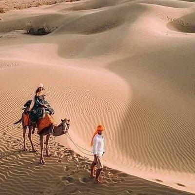 Desert Camel & Jeep Safari Private Tour From Jodhpur