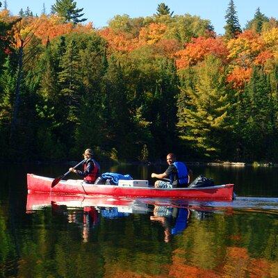 Algonquin Park 4-Day Luxury Moose/Beaver/Turtle Camping & Canoeing Adventure 