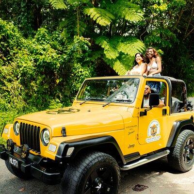 Half Day Private Tour in St. Lucia Jeep Wrangler