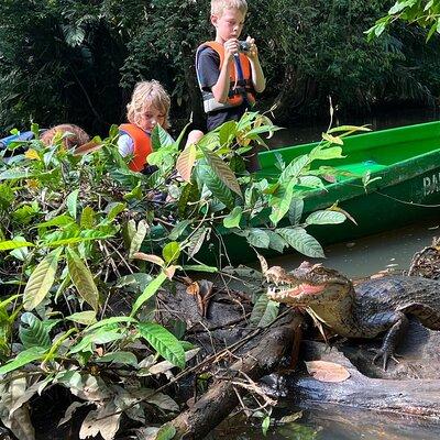 Small Group Tortuguero National Park Canoe Tour