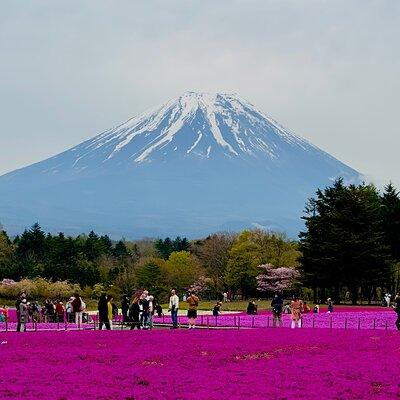 Mt. Fuji & Lake Kawaguchiko One Day Private Tour.