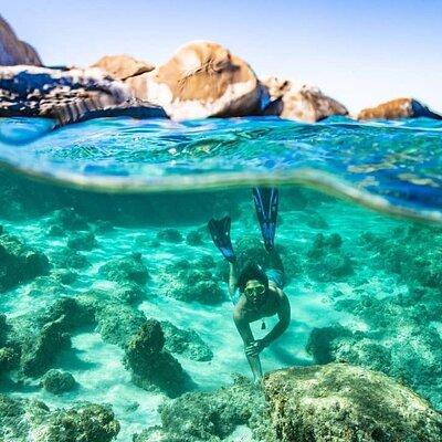 Under the Sea Snorkeling Adventure in the BVI With Sea Scooters!!