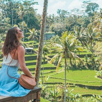 Half Day Bali Tour