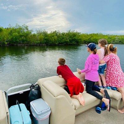 Dolphin/Manatee Pontoon Boat Tour with Local Expert