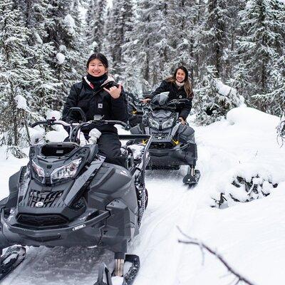 Reindeer and Snowmobile Day Trip to Borealis Basecamp with Lunch