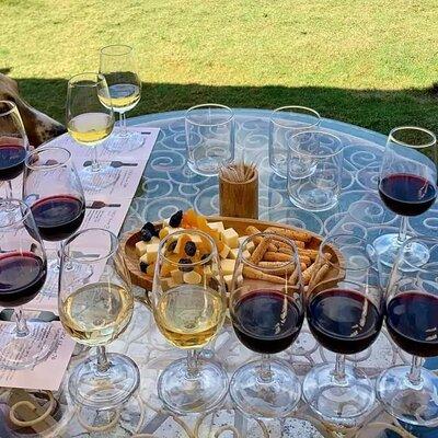Wine Tasting Tour at Two Wineries in Urla Turkey