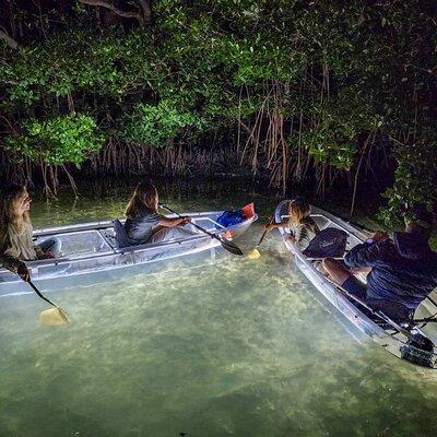 Clear Kayak LED Night Glass Bottom Tour - Anna Maria Island