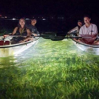 Clear Kayak LED Night Glass Bottom Tour - Sarasota