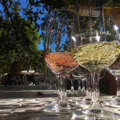 Wine Tour to Stellenbosch & Franschhoek with Tastings & Lunch